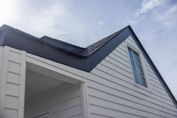 Best Hoarding Cleanup  in Trenton, MO